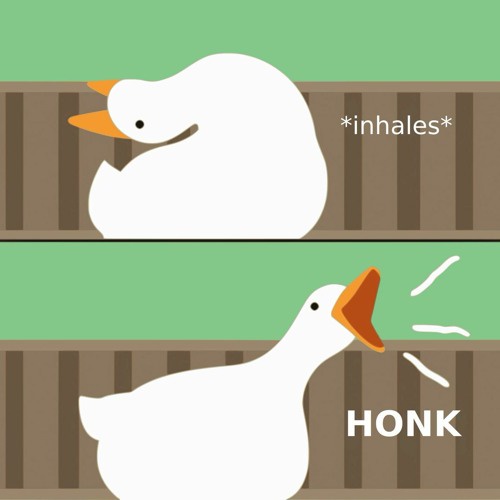 Two cartoon geese in a striped cage, top goose inhales then bottom goose honks loudly. Text reads '*inhales*' above top…