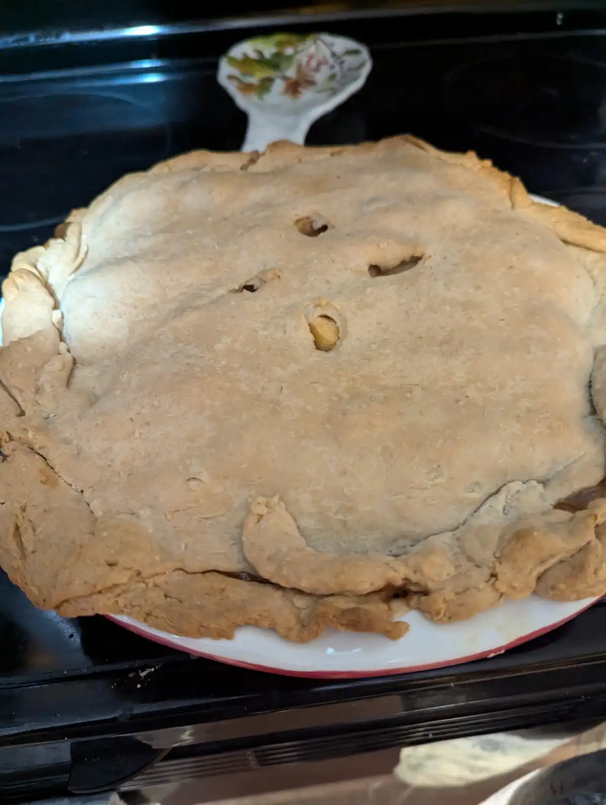 A close-up photo shows a baked pie on a white plate with a red rim, sitting on a black stovetop. The pie has a golden-brown…