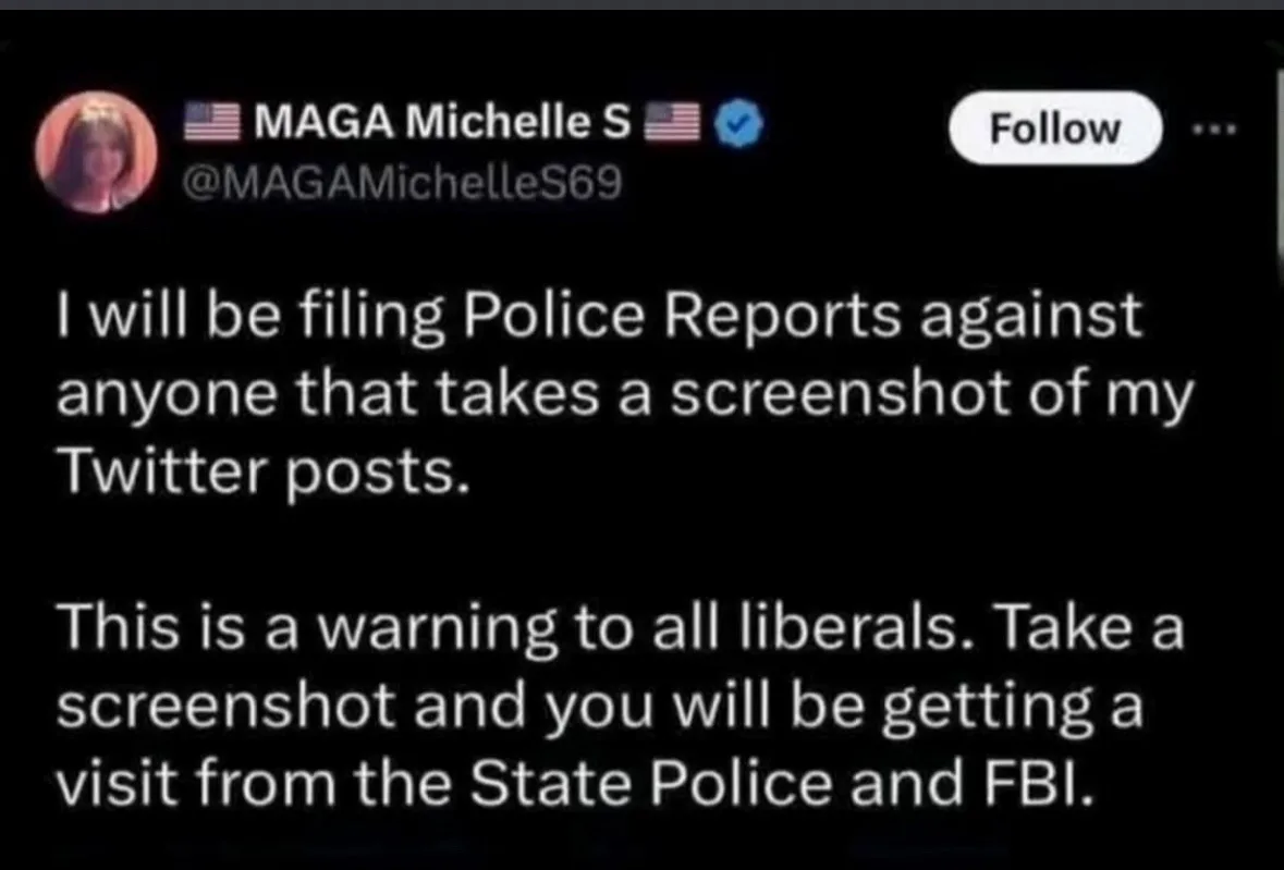 A screenshot of a Twitter post by user 'MAGA Michelle S' with a verified blue checkmark, who claims to file police reports…