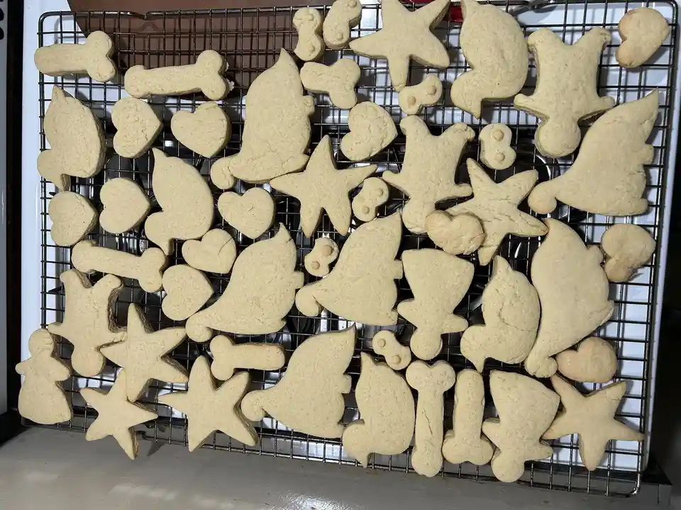 These Cookies Are Uniquely Different: The Elf's Spelling Struggles