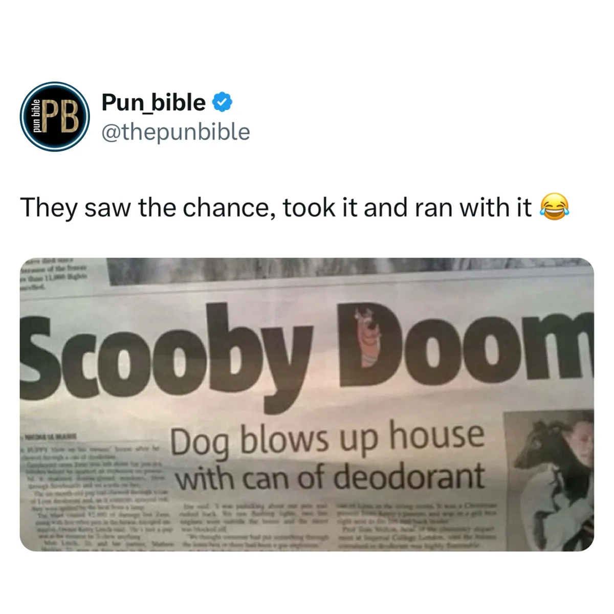 A screenshot of a tweet from @thepunbible shows a newspaper headline that reads 'Scooby Doom' with a cartoon Scooby-Doo face…