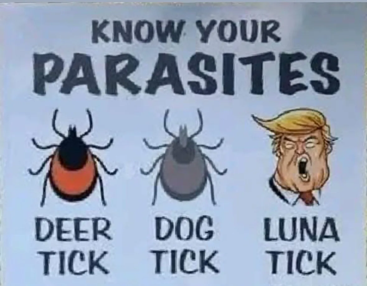 An infographic titled 'KNOW YOUR PARASITES' displays three illustrated ticks labeled 'DEER TICK', 'DOG TICK', and 'LUNA…