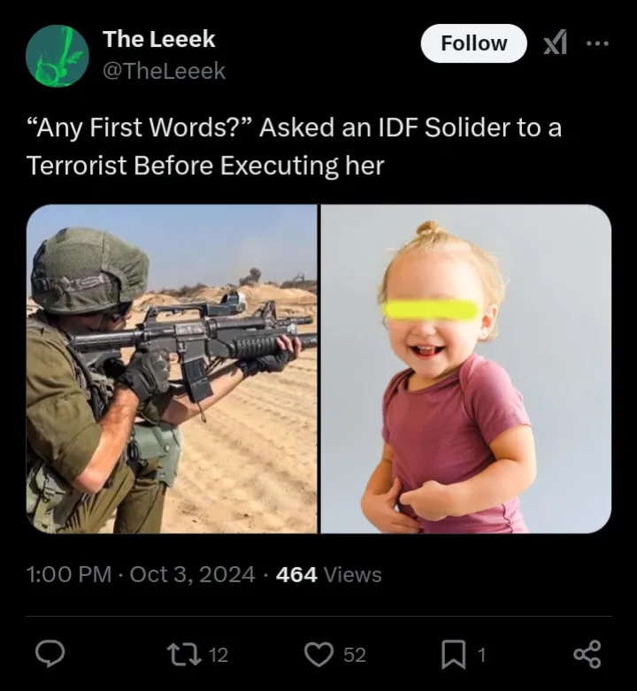 Israel Defense Forces: A closer look