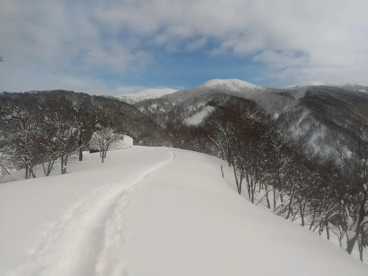 A wide-angle photo shows a snowy mountain trail with footprints winding through deep snow, flanked by bare trees and leading…