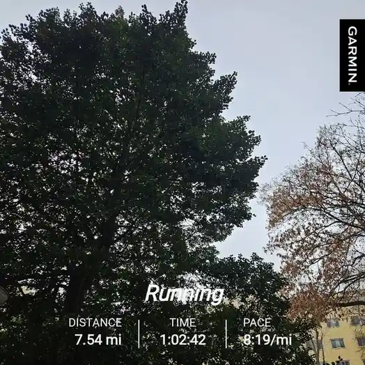 A photo of a large green tree against a gray sky, with a Garmin fitness tracker overlay showing a running session: 7.54…
