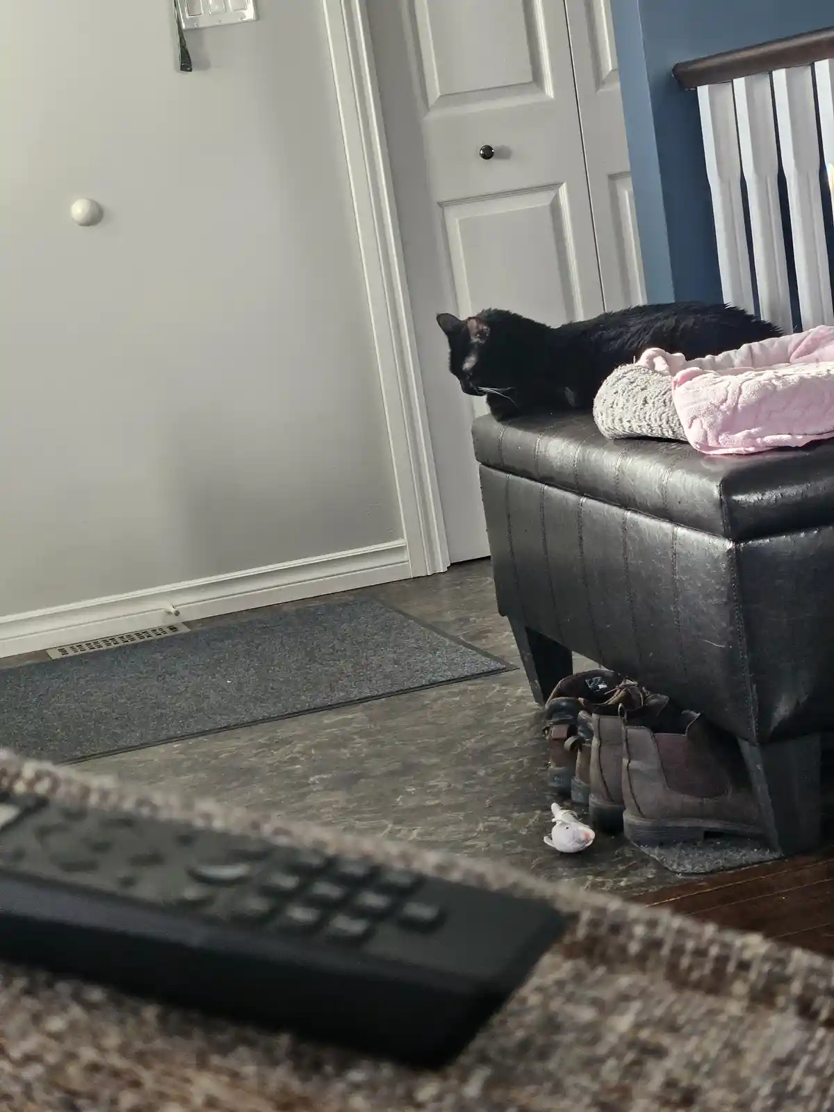 A black cat is lying on a dark leather ottoman next to a white door, with a pink and beige knitted blanket beside it. In the…