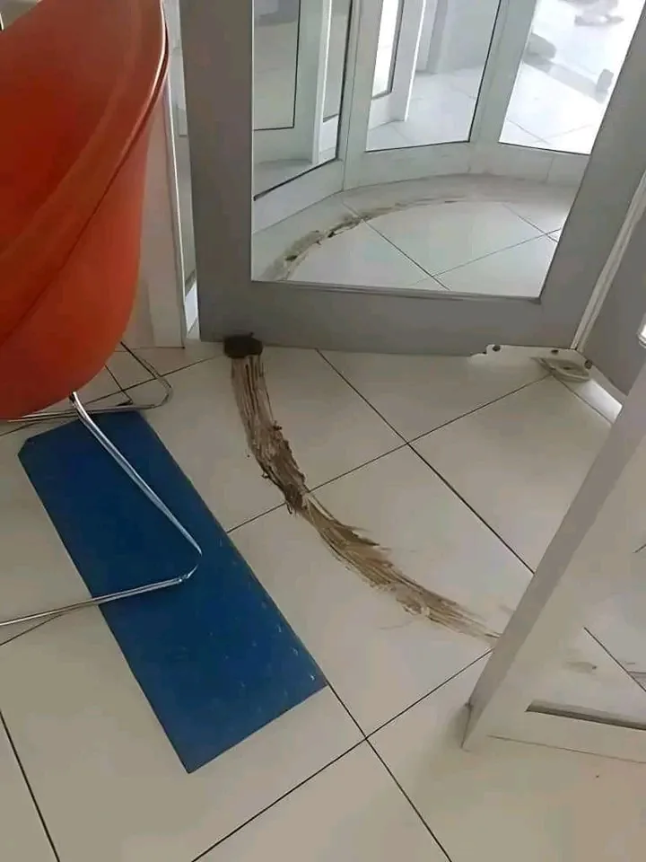 A close-up photo shows a dirty, brown, stringy mess oozing from under a glass door frame onto white tiled flooring, next to…