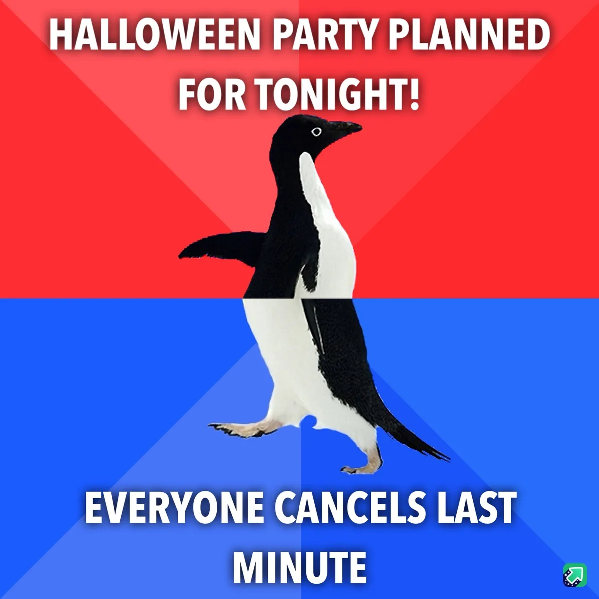 A penguin stands centered against a red and blue background, with white text at the top reading 'HALLOWEEN PARTY PLANNED FOR…