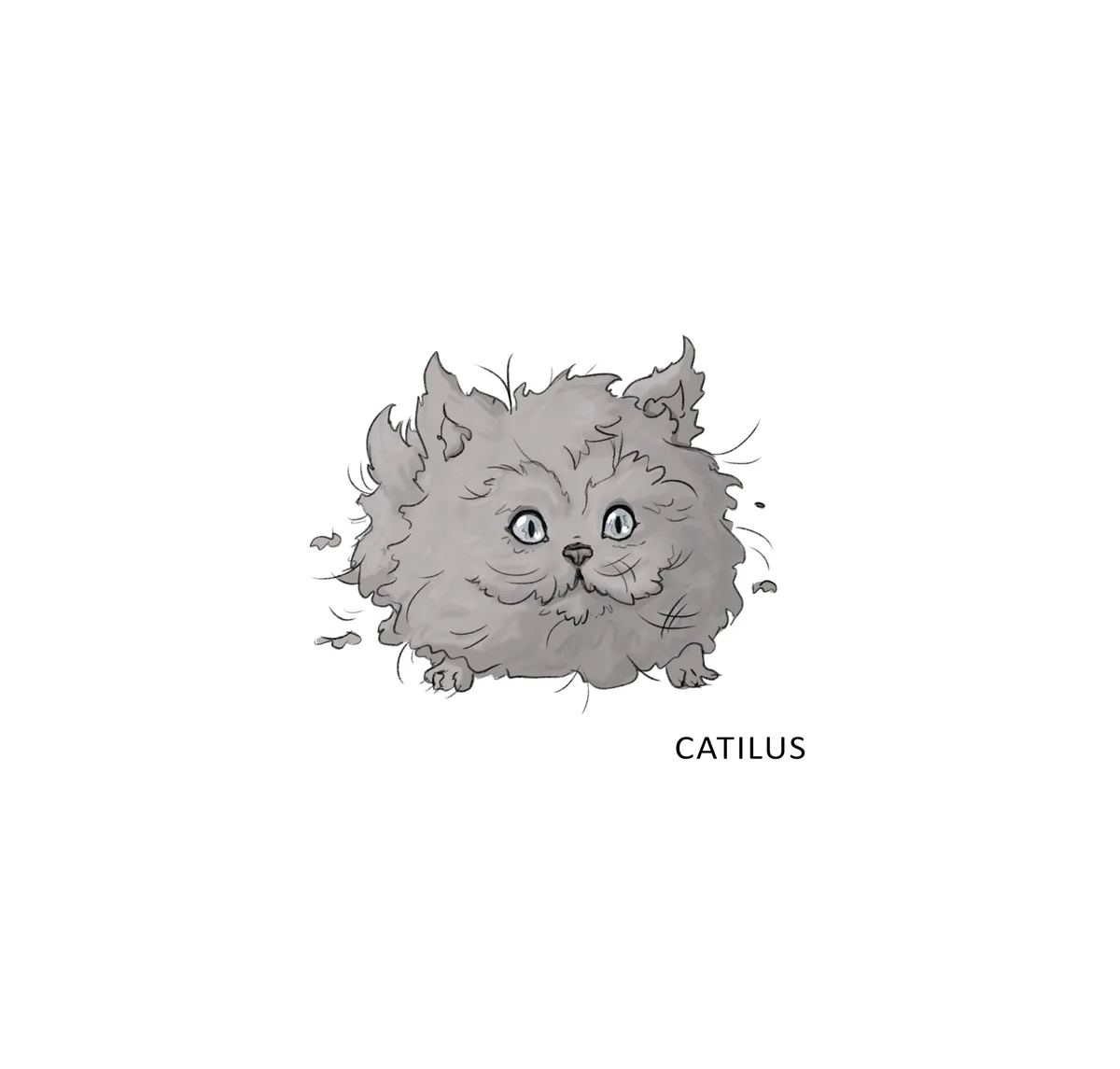 A grayscale drawing of a fluffy, round, cat-like creature with wide blue eyes and tufted ears, looking directly forward…