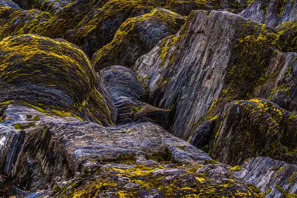 A close-up photograph of dark, striated rocks covered in vibrant yellow-green moss, with overlaid text reading 'i'm not…