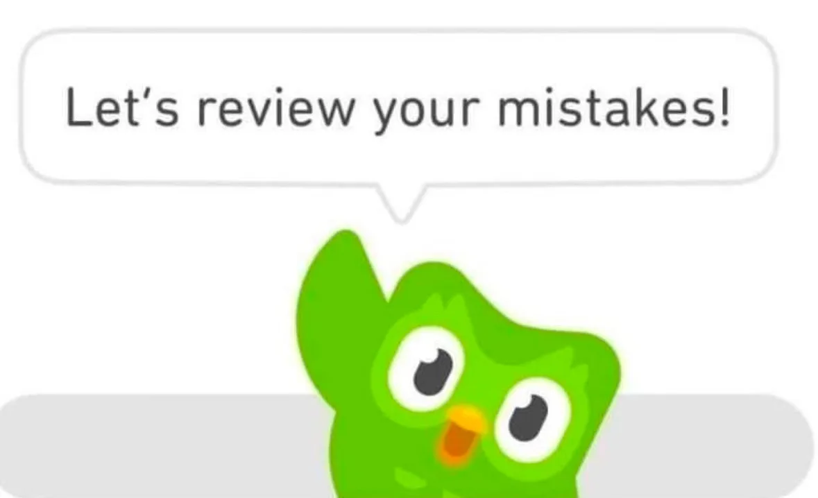 A green cartoon owl with large eyes and an orange beak is shown in a chat interface, speaking the text 'Let's review your…
