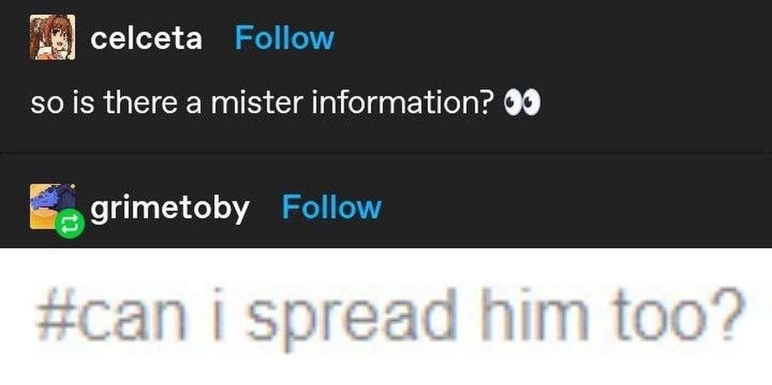 A screenshot of two social media comments. The first, from user 'celceta', asks 'so is there a mister information? 👀'. The…