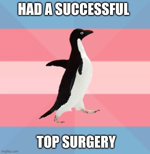 A black-and-white penguin stands upright on a pink, light pink, and blue striped background. The text 'HAD A SUCCESSFUL' is…