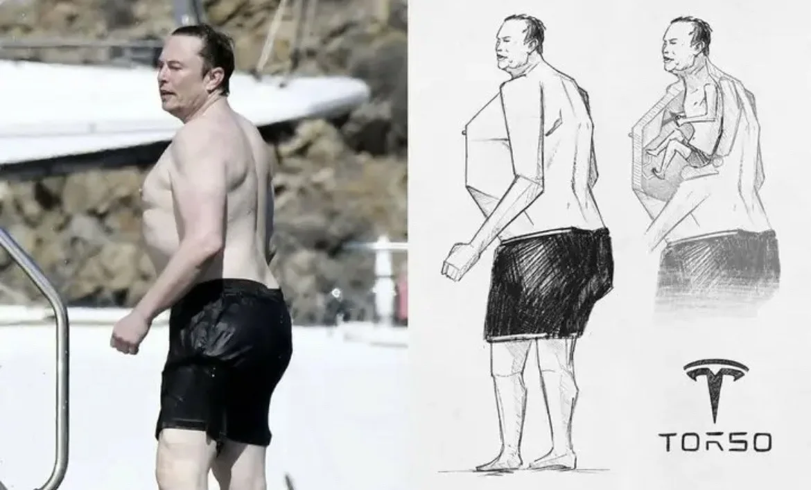 The Torso: A Fascinating Focus