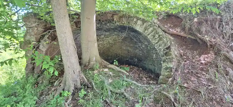 An outdoor photo shows a large, mature tree growing directly through the center of a crumbling stone archway, with its roots…