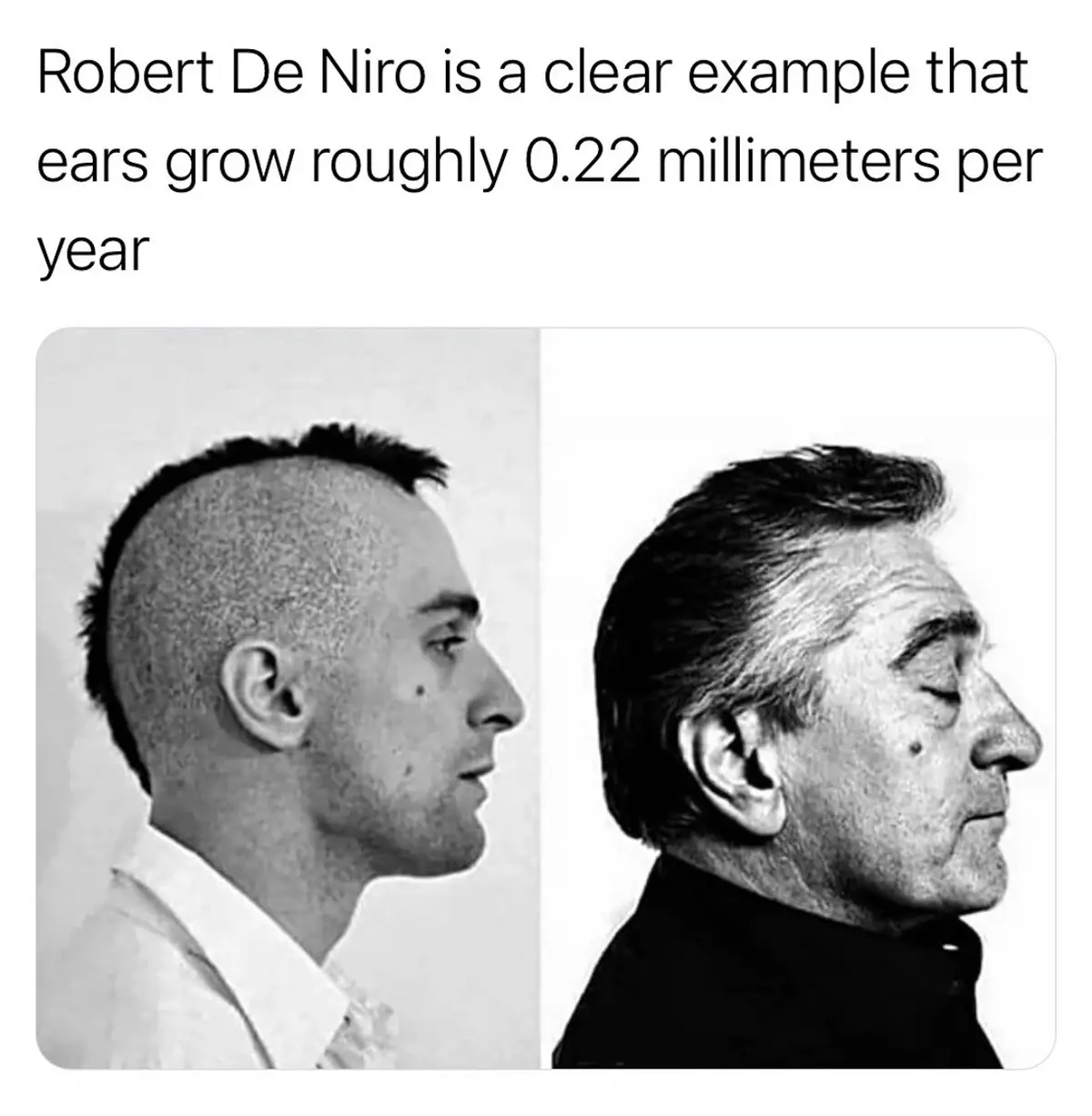 A side-by-side black-and-white photo shows Robert De Niro as a younger man on the left with a mohawk haircut and a smaller…