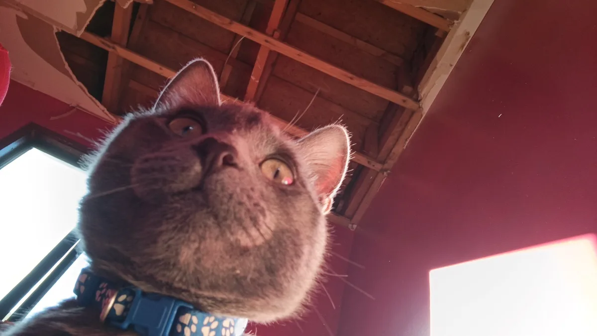 Hey there! :3