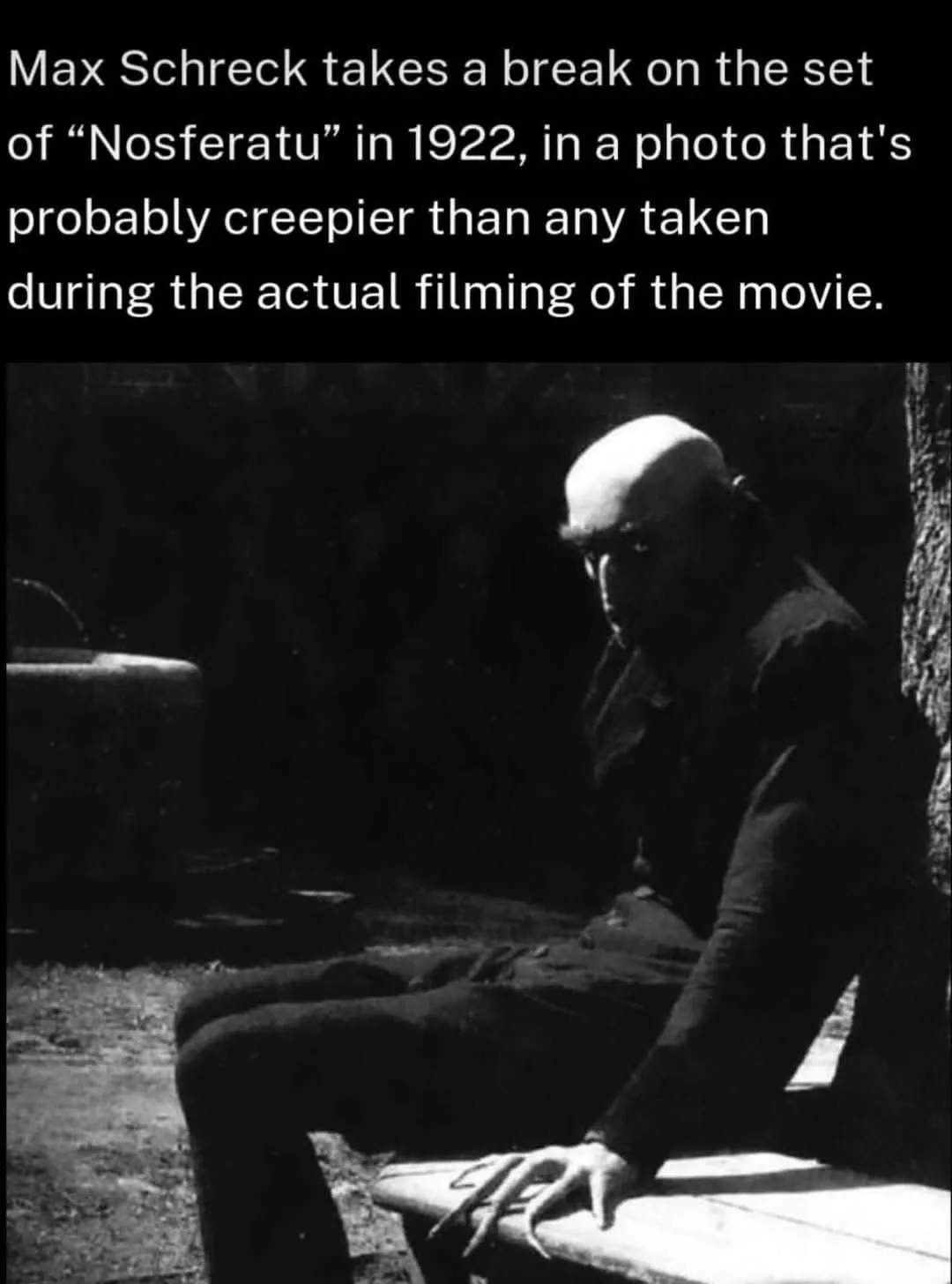 A black-and-white photo shows actor Max Schreck sitting on a bench outdoors, his bald head and shadowed face illuminated by…