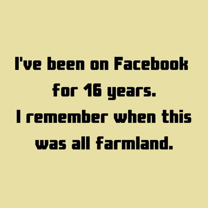 The image displays black text on a solid pale yellow background. The text reads: 'I've been on Facebook for 16 years. I…