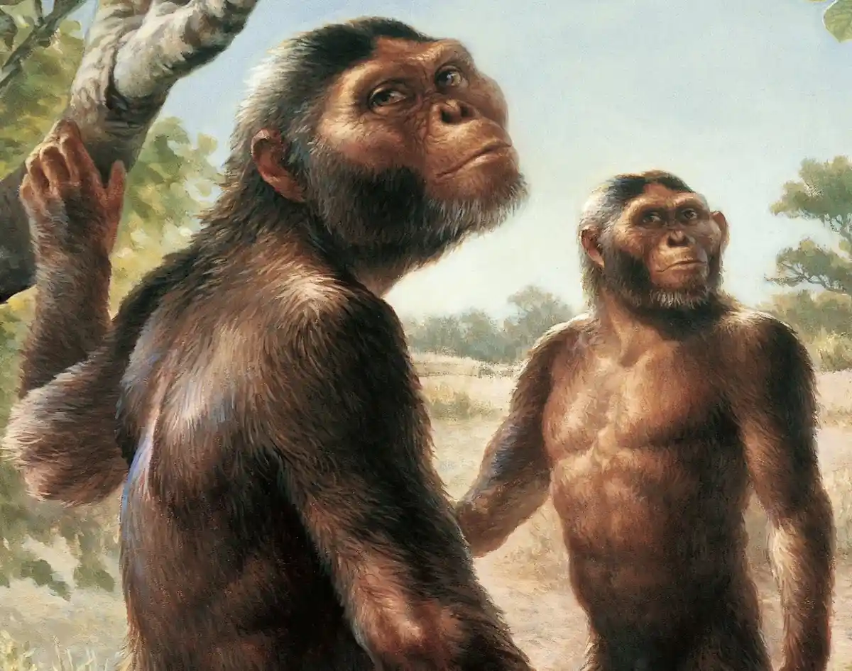 An illustration depicts two early hominids, one holding a tree branch and both looking upward with thoughtful expressions…