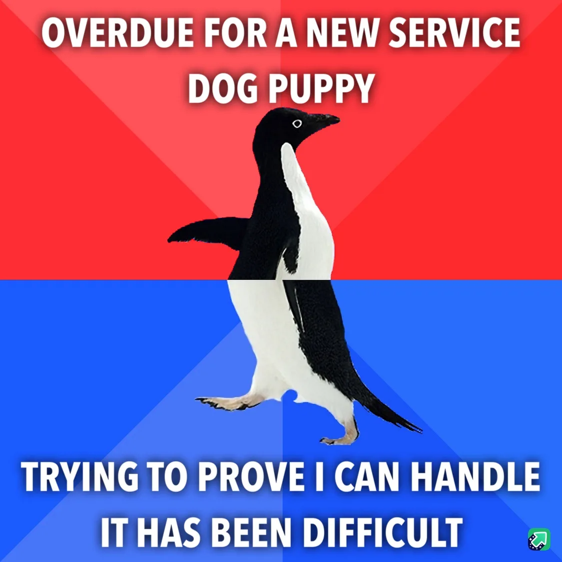 A penguin stands upright against a red and blue background, with white text overlaid in two sections. The top text reads…