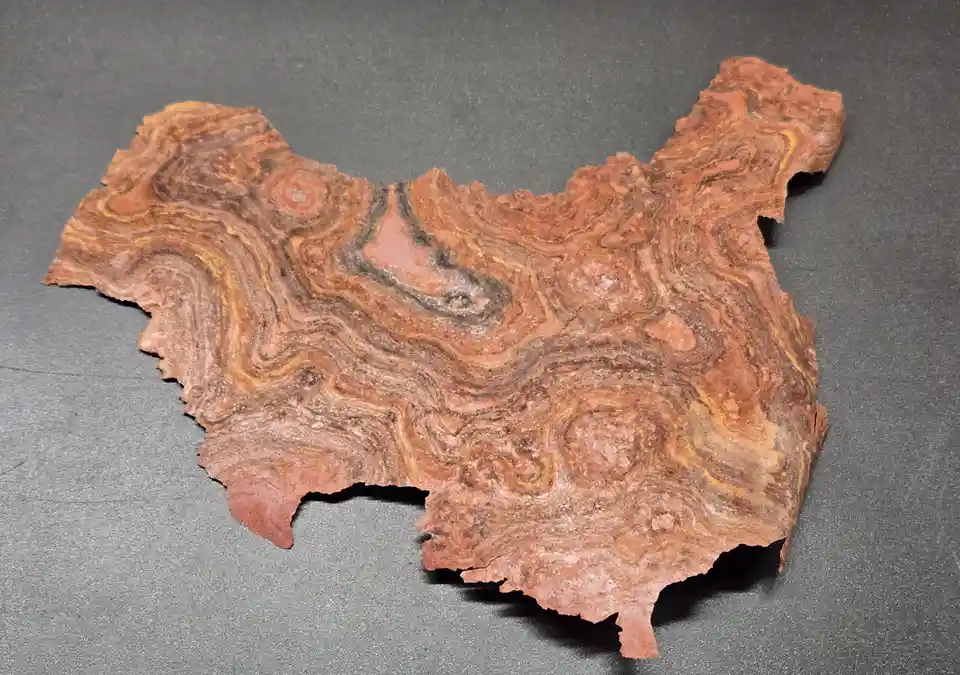 a flat, irregularly shaped slab of reddish-brown, swirling rock with layered patterns rests on a dark gray surface. The…