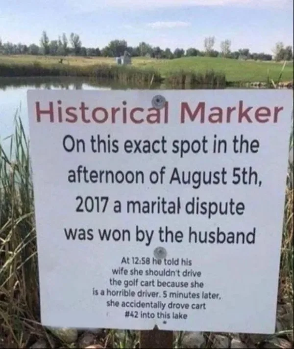 A white historical marker sign is posted by a lake, detailing a fictional 'historical event' from August 5, 2017, where a…