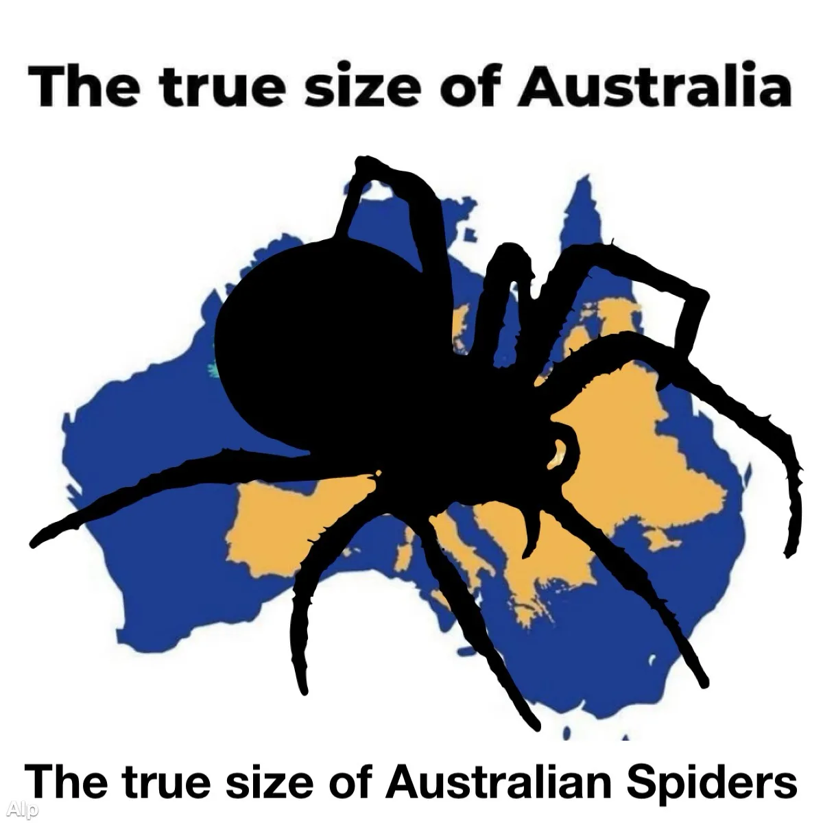 A large black spider silhouette is superimposed over a map of Australia, which is colored blue and yellow. The top text…