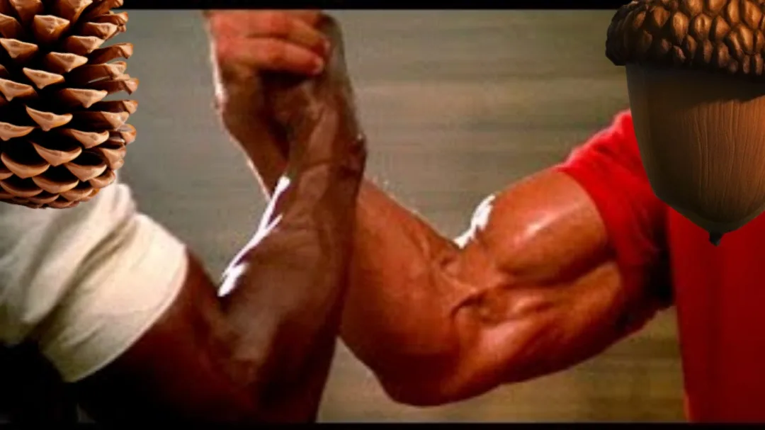 Two muscular arms are locked in an arm-wrestling match, with a pinecone digitally placed over the left arm and an acorn over…