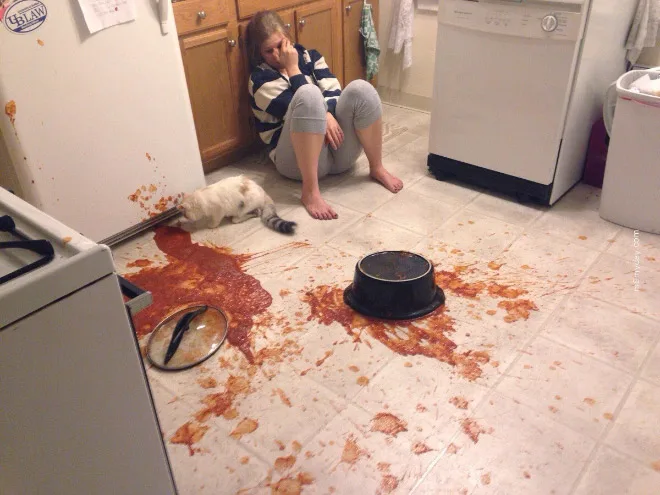 A person sits on a kitchen floor looking distressed next to a spilled red sauce, a tipped-over pot, and a cat nearby. The…
