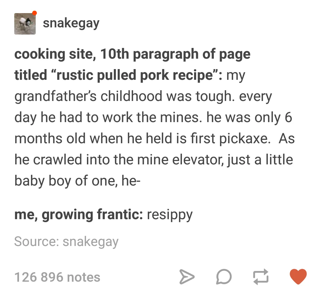 A screenshot of a Tumblr post by user 'snakegay' showing a long, absurdly dramatic paragraph from a 'rustic pulled pork…