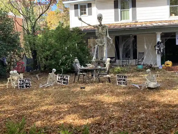 A Halloween yard decorated with numerous plastic skeletons, including a large one gesturing near a dining table where…
