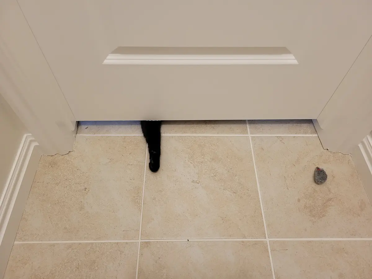 A black cat's tail is visible peeking out from under a white door, with a small grey mouse toy lying on the beige tiled…
