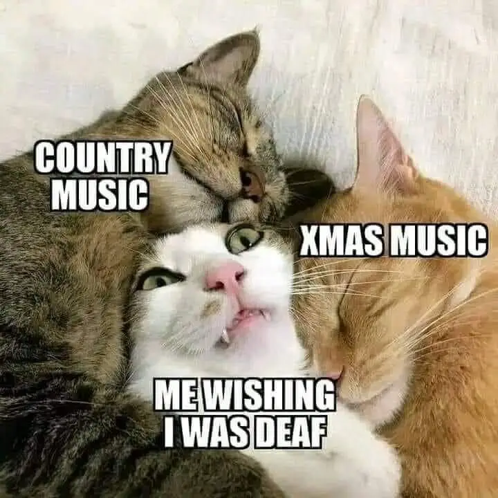 It's that magical time of year again