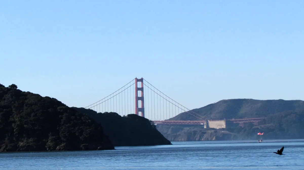 A scenic photo of the Golden Gate Bridge under a clear blue sky, with a dark silhouette of a bird flying low over the water…