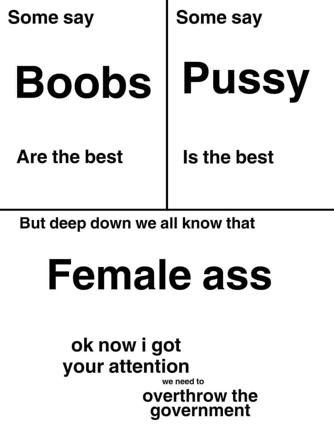 The image is a split-panel meme with two top sections stating 'Some say Boobs Are the best' and 'Some say Pussy Is the…