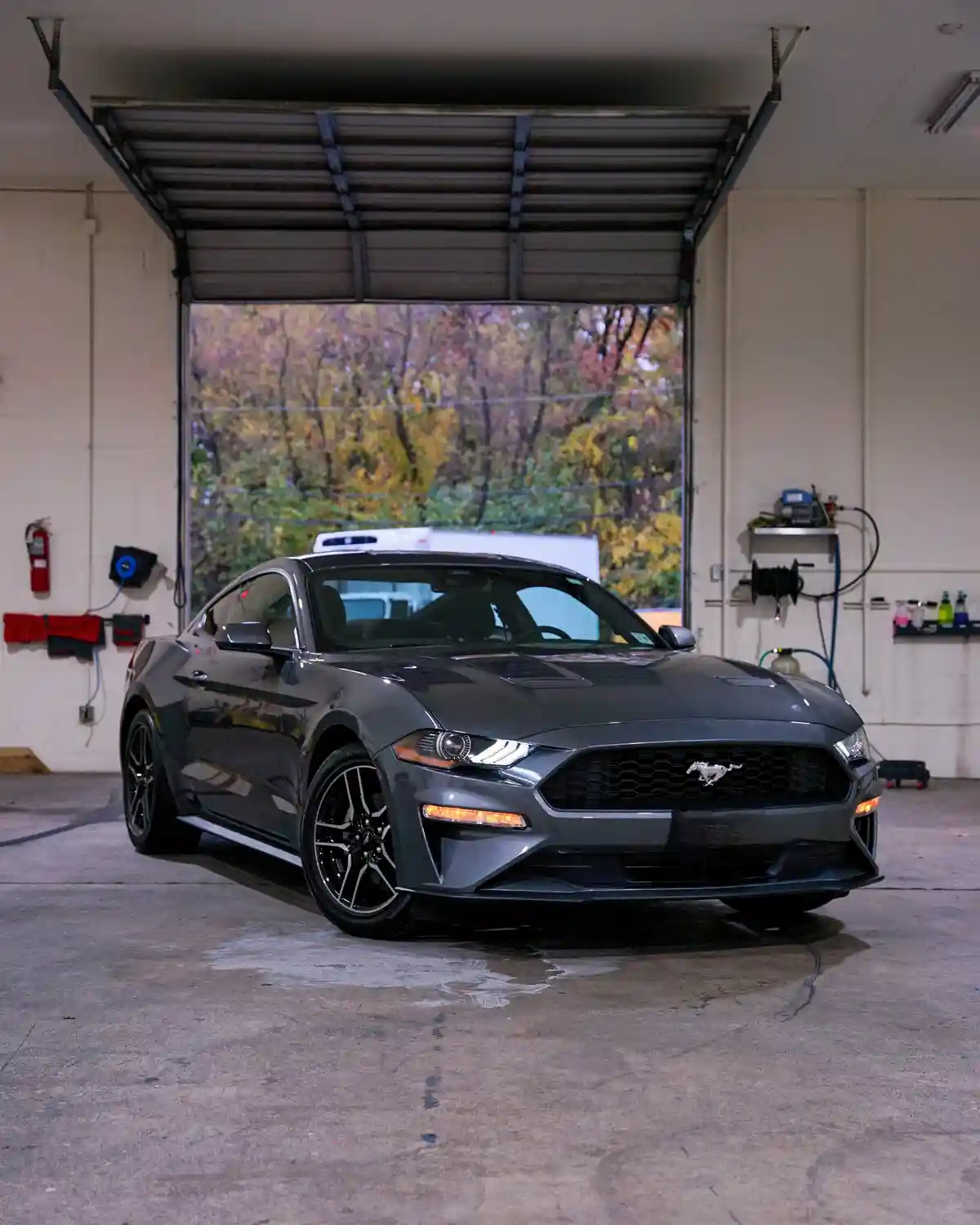 Check Out My Shiny Pony: The Ultimate Showstopper