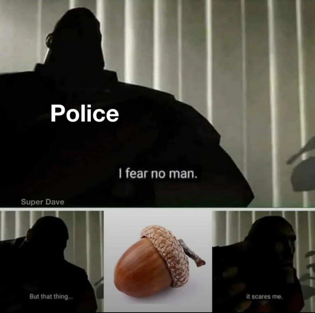 The image is a three-panel meme. The top panel shows a silhouette of a large man labeled 'Police' with the text 'I fear no…