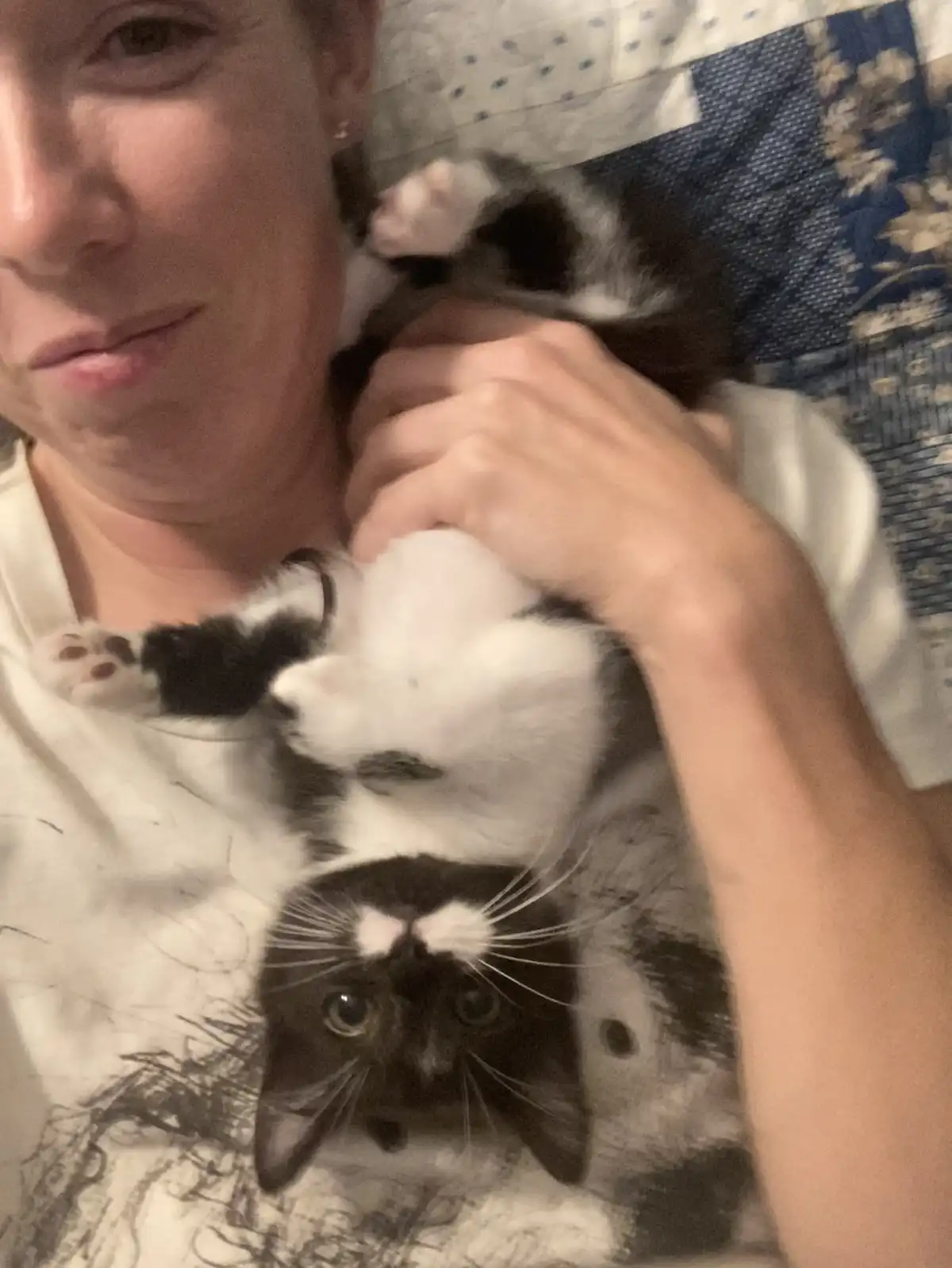 Meet Skunk: The Adorable Stinky Bandit!
