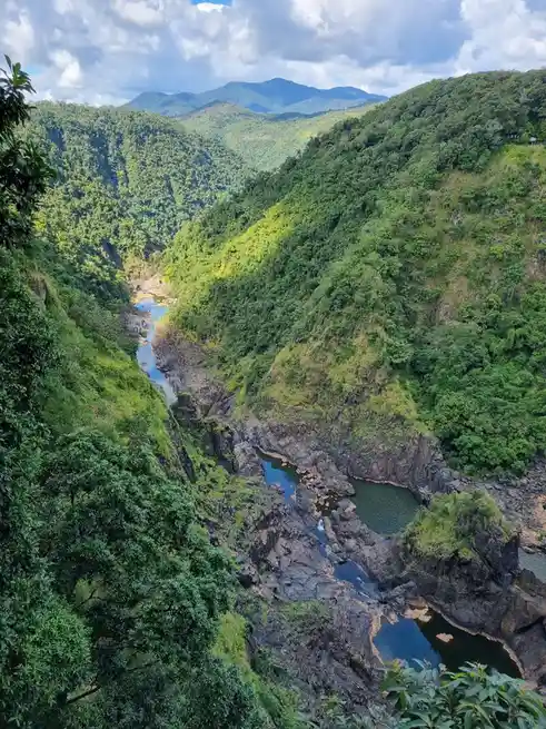 A scenic view of a deep, lush green canyon with a winding river flowing through rocky terrain, framed by dense foliage under…