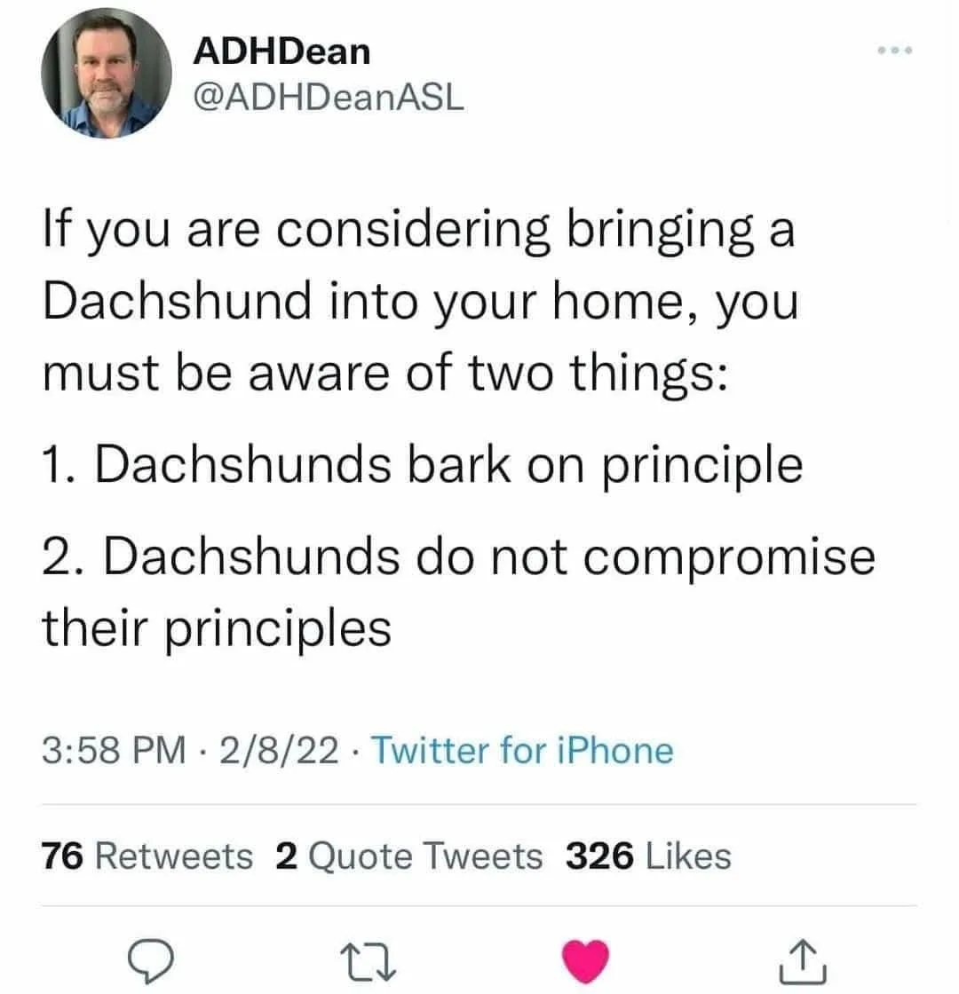 A screenshot of a Twitter post by user ADHDeanASL, which reads: 'If you are considering bringing a Dachshund into your home…