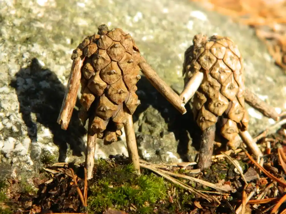 Two pinecones are arranged to look like a couple holding hands, with sticks inserted as arms and legs, standing on mossy…
