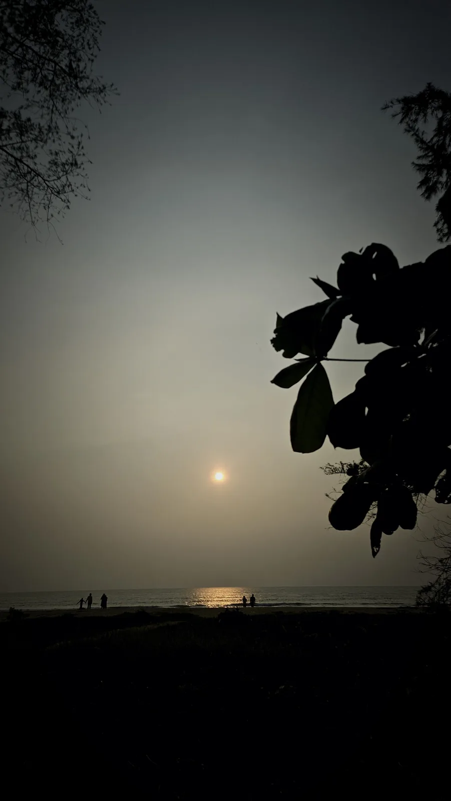 A serene beach scene at sunrise or sunset, with silhouettes of trees framing the shot and people walking along the shore…