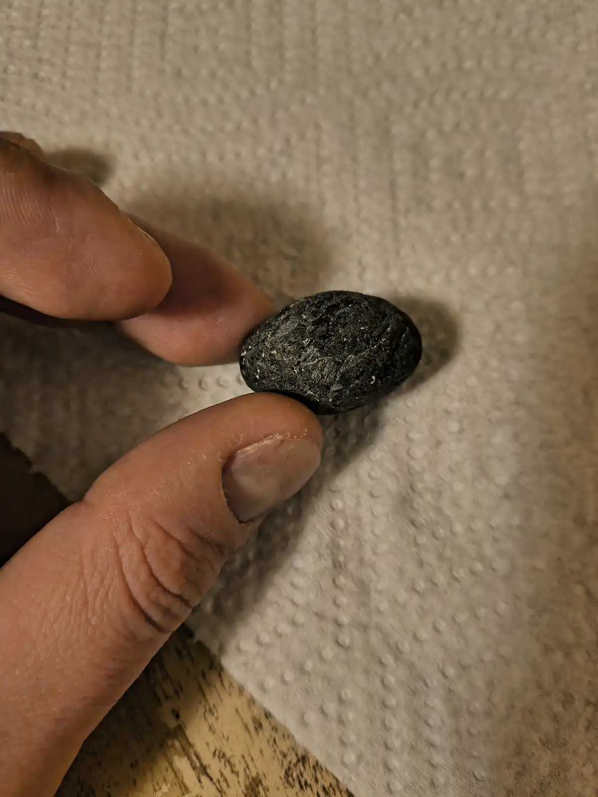 A close-up photo shows a person's fingers holding a small, dark, rough-textured rock against a white paper towel background…