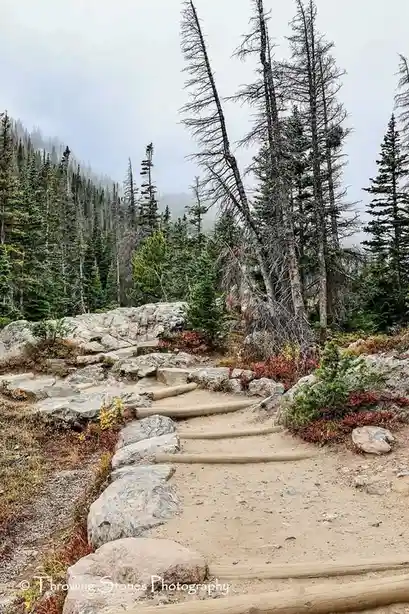A scenic mountain trail with wooden steps and large rocks, surrounded by evergreen trees and autumn foliage under an…