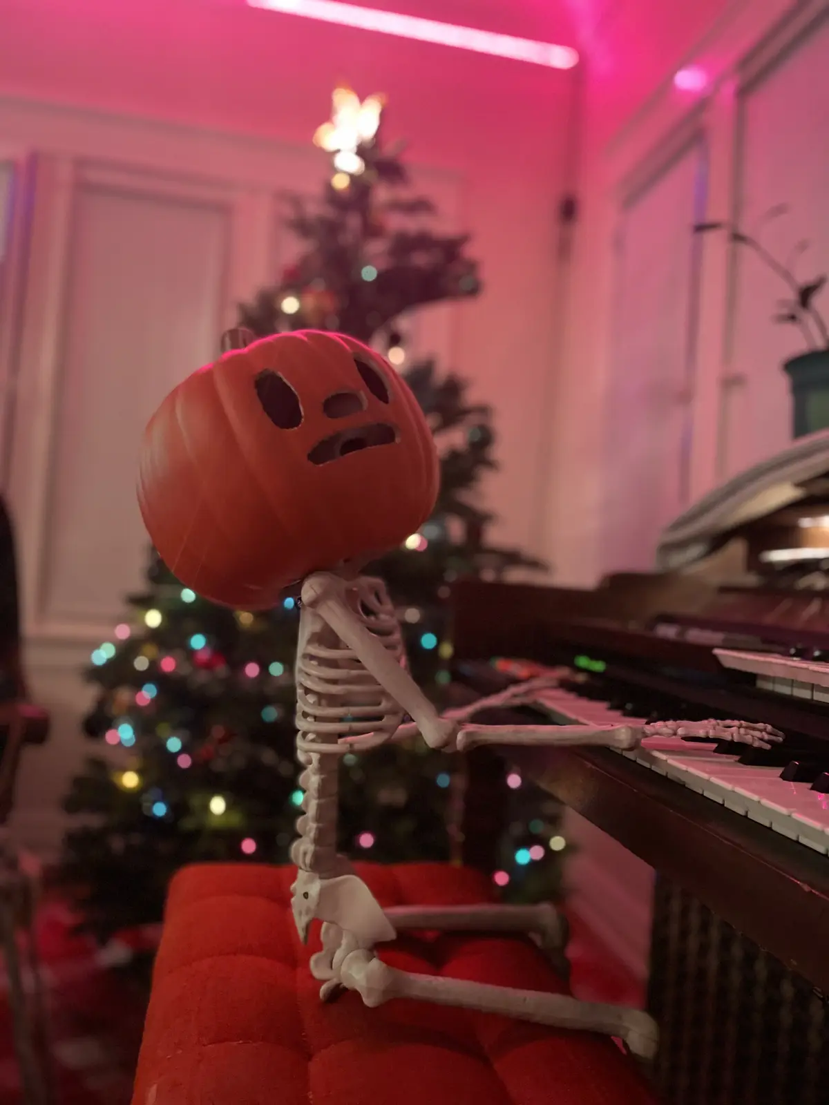 A small skeleton figurine with a carved pumpkin head sits at a piano bench, looking tired or annoyed, with a decorated…