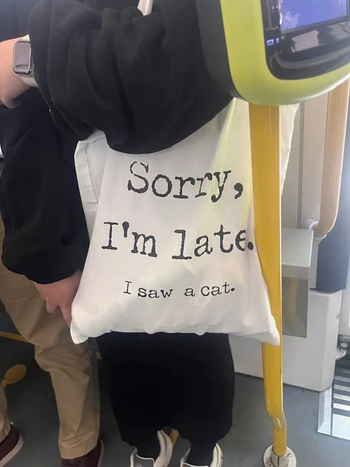 A person wearing a black hoodie and holding a white tote bag with the text 'Sorry, I'm late. I saw a cat.' printed on it…