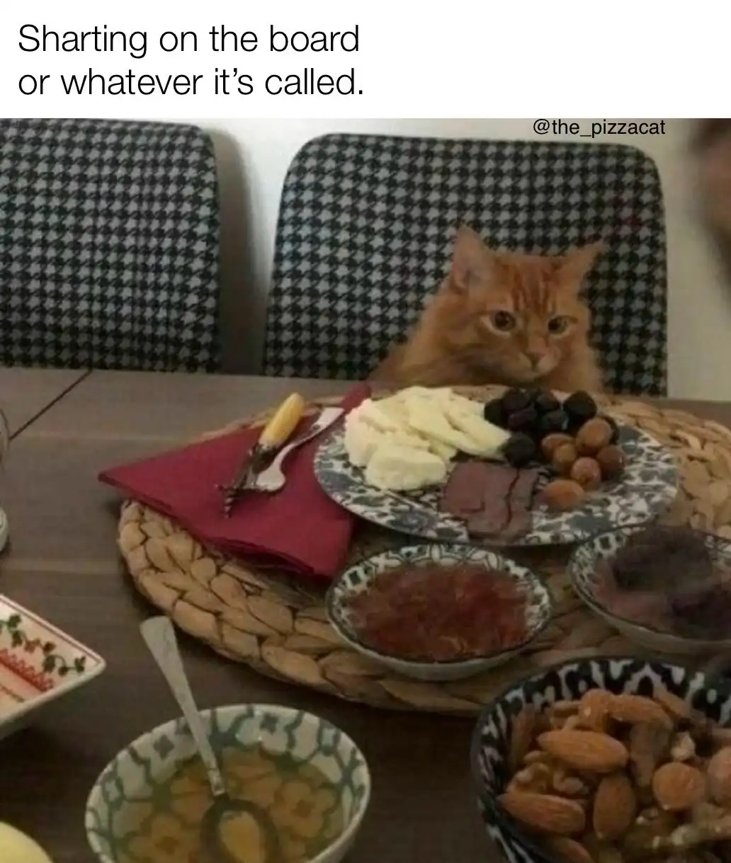 An orange tabby cat sits at a dining table behind a charcuterie board filled with cheese, olives, nuts, and meats, looking…