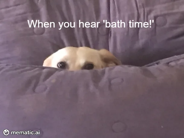 A light-colored dog peeks out from under a purple, textured blanket or pillow, its large, dark eyes wide with apparent fear…