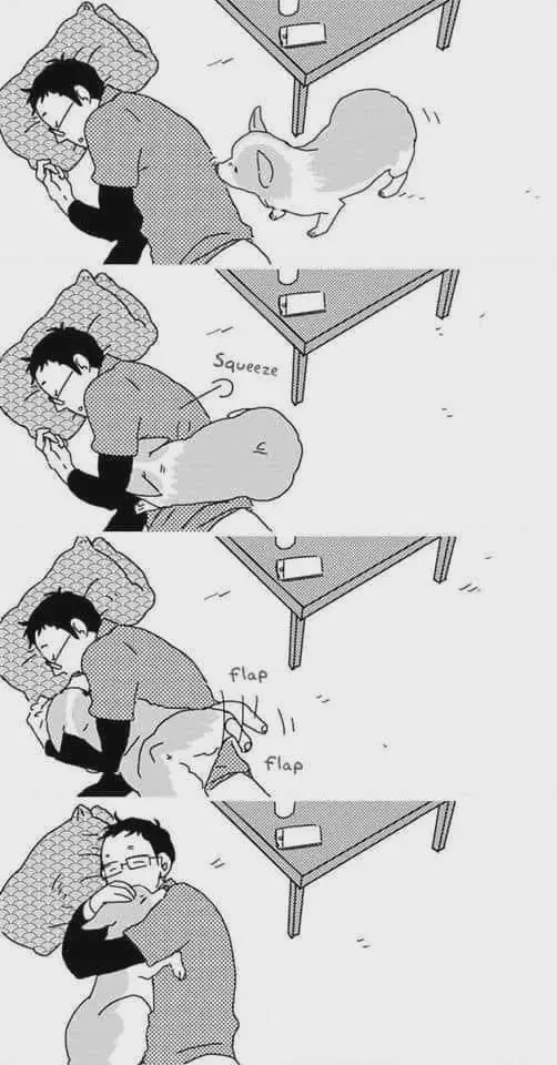 A four-panel manga-style comic shows a man sleeping on his side, then being squeezed by a corgi that jumps onto his back…